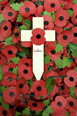 bed of poppies and wooden cross